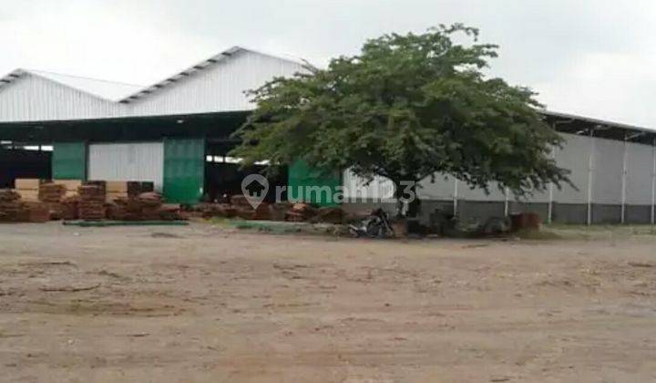 Pabrik Kayu Gresik 9