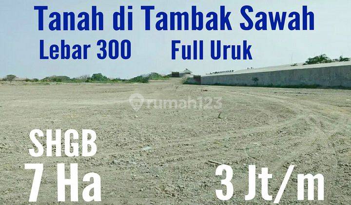 Tanah di Tambak Sawah  1