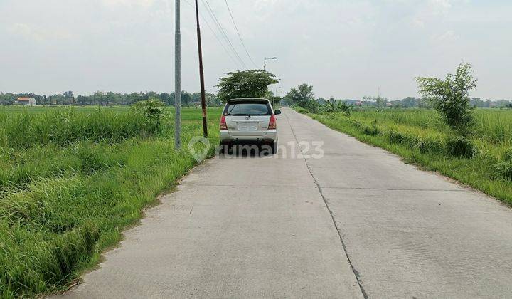 Tanah di Mojokerto Kemlagi  1