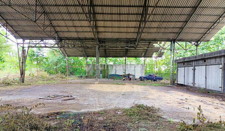 Gudang Lamongan Tikung 6