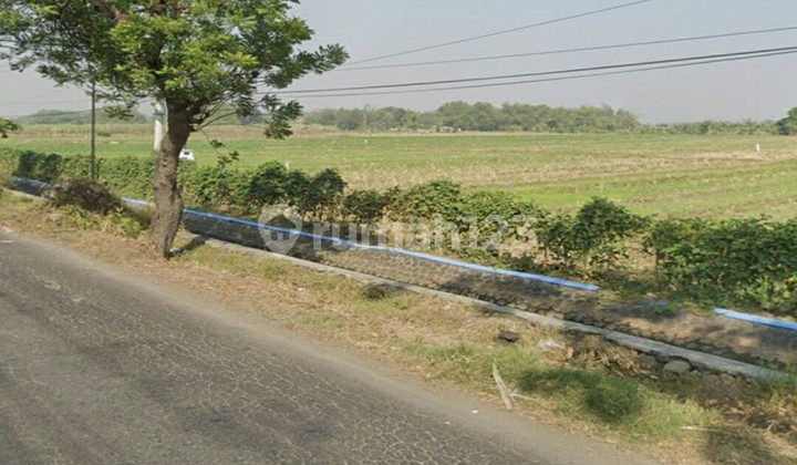 Tanah di Nganjuk Lengkong  1