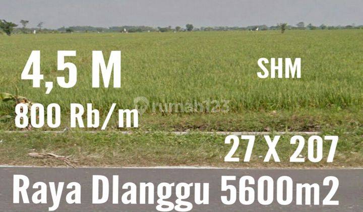 Tanah di Mojokerto Dlanggu 2