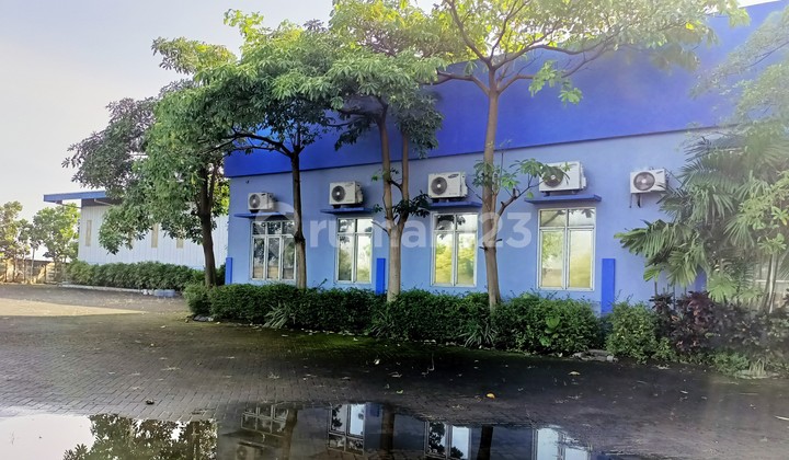 Gudang di Gresik 3