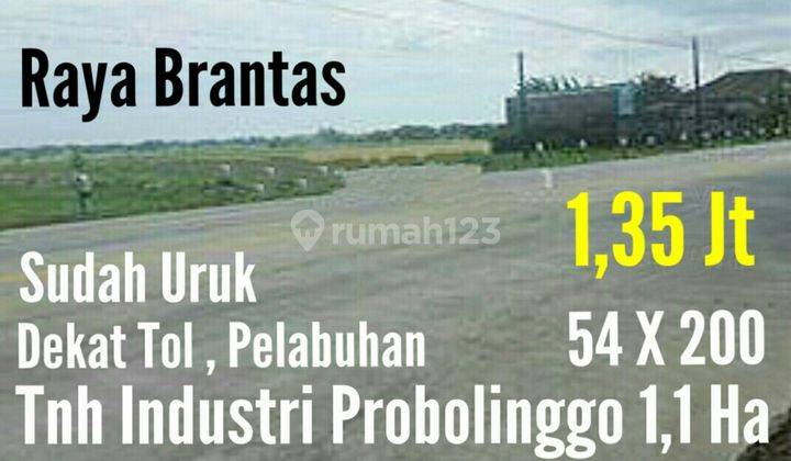 Tanah di Probolinggo. 1