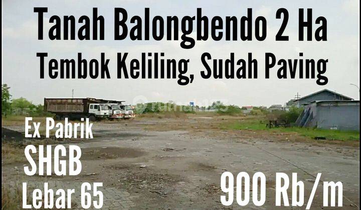 Tanah di Balongbendo  1