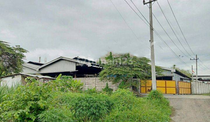 Pabrik Batu Bara Gresik  2
