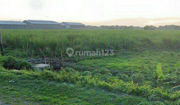 Tanah di Mojokerto 2