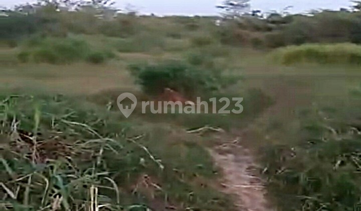 Industrial Land in Cerme, Gresik Industrial Land in Cerme, Gresik