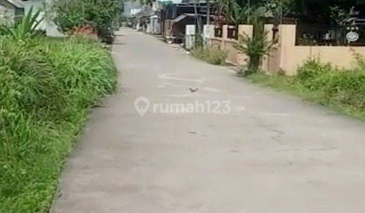 Tanah Mojokerto Pungging  2
