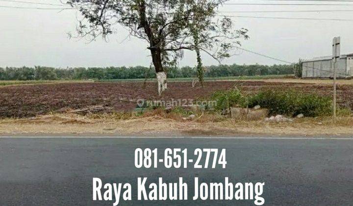 Tanah di Raya Kabuh Jombang  1