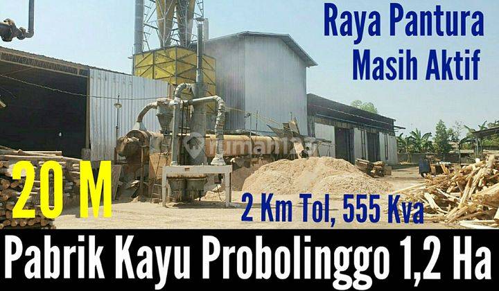 Pabrik Kayu di Probolinggo  1