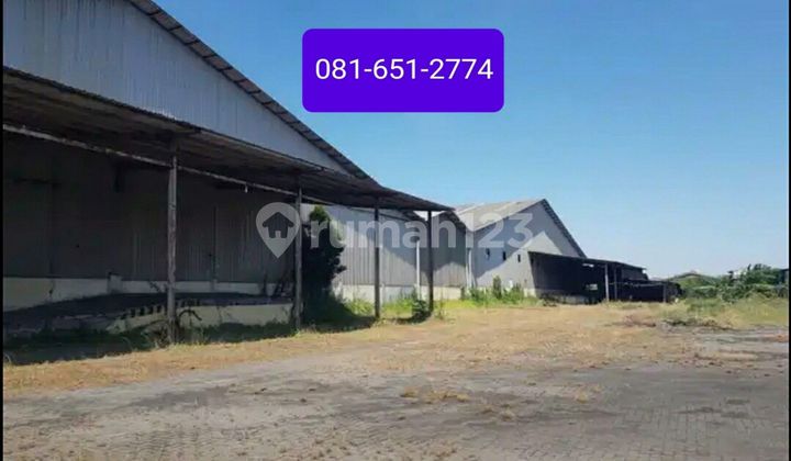 Gudang di Margomulyo Surabaya.