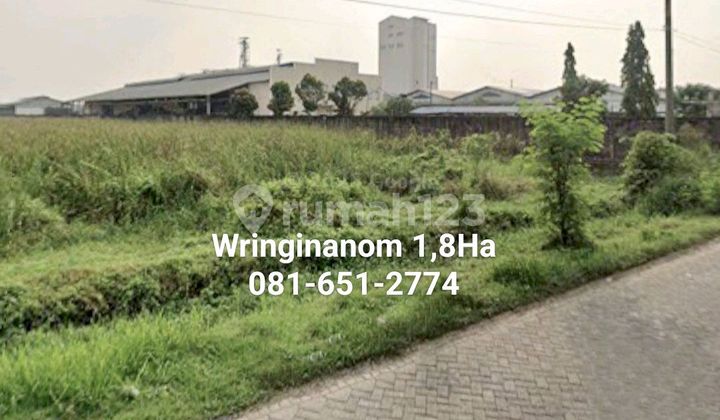 Land In Wringinanom Gresik Land In Wringinanom Gresik