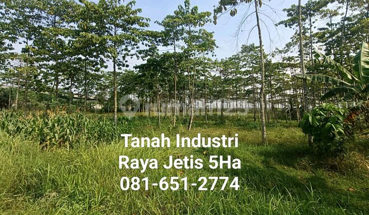 Tanah Di Jetis Mojokerto Tanah Di Jetis Mojokerto