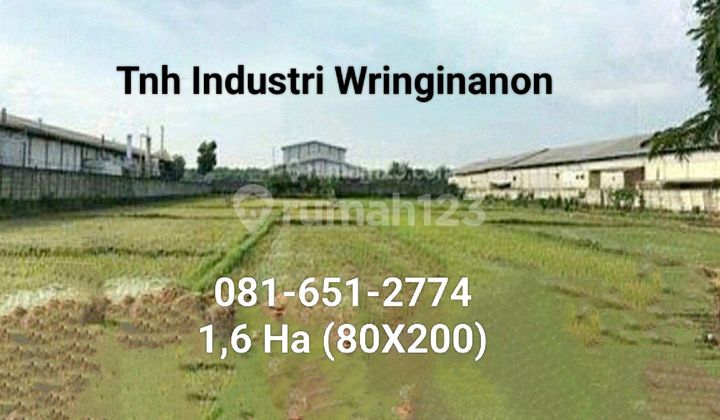 Land in Raya Wringinanom Gresik Land in Raya Wringinanom Gresik