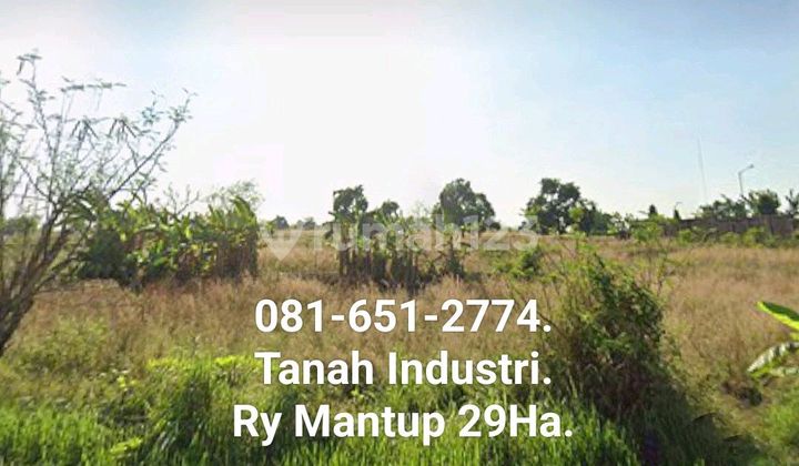 Tanah Di Raya Mantup
