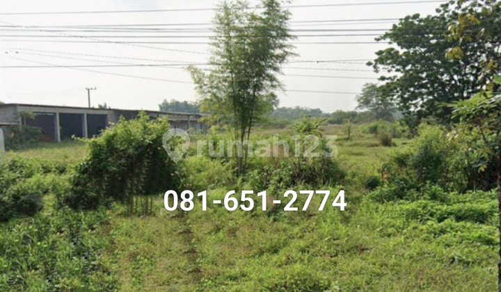 Tanah di Mojokerto Mojosari