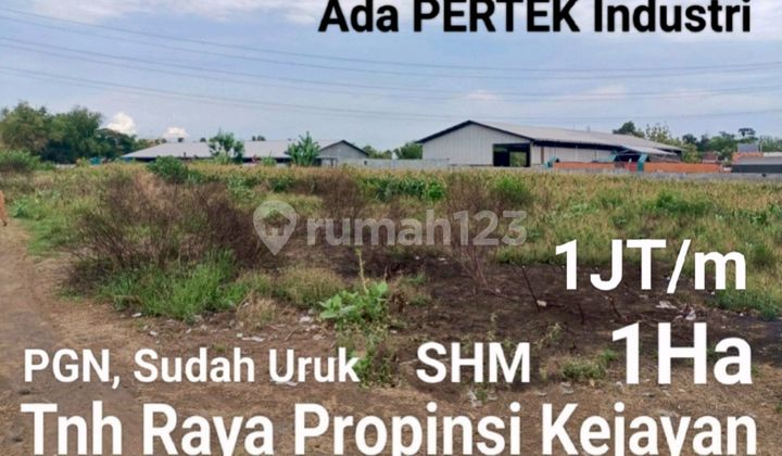 Industrial Land in Kejayan Pasuruan.