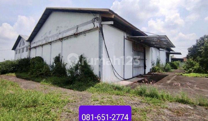 Warehouse in Cerme Gresik