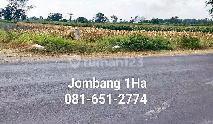 Tanah Di Jombang Perak
