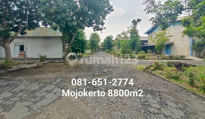 Warehouse In Mojokerto