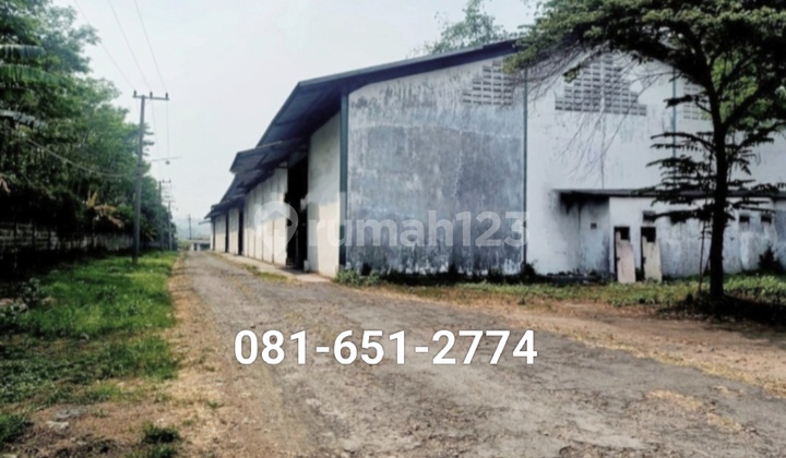 Warehouse Factory in Ngoro Mojokerto