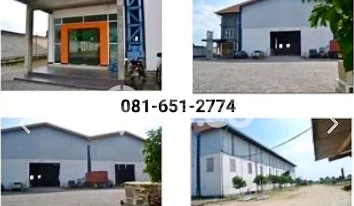 Warehouse Factory in Sidayu Gresik