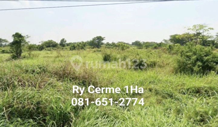 Land in Cerme Gresik