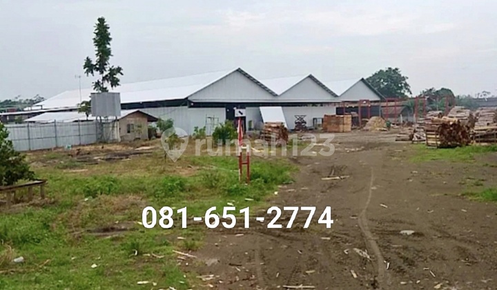 Plywood Wood Factory in Kediri