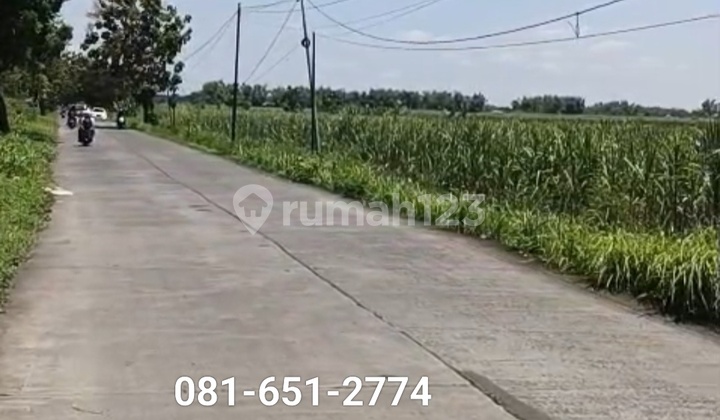 Tanah di Mojokerto Kemlagi