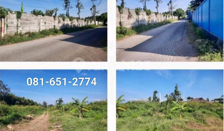 Tanah di Sukorejo Purwosari Tanah di Sukorejo Purwosari