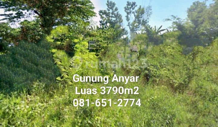 Land in Gunung Anyar, Surabaya