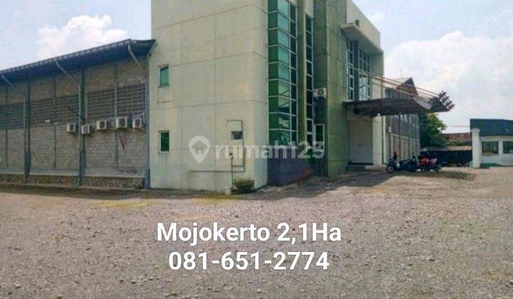 Gudang Pabrik Di Mojokerto 1