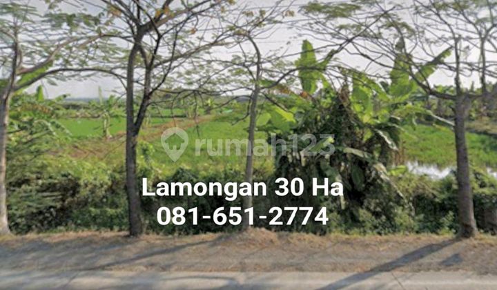 Tanah Di Lamongan Pucuk Tanah Di Lamongan Pucuk