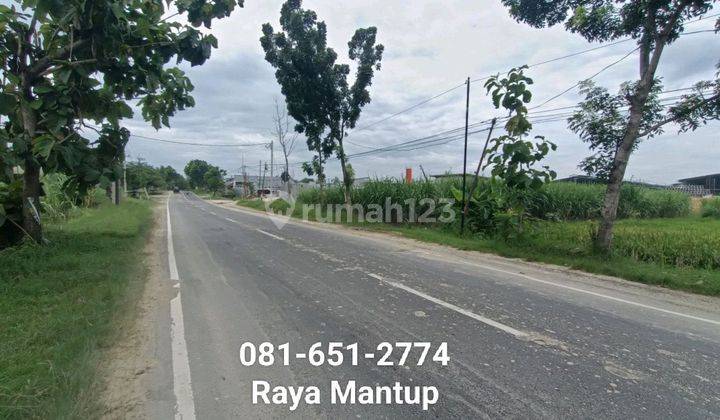 Tanah Raya Mantup Lamongan 1