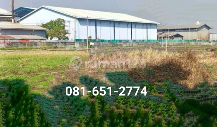 Tanah di Gempol Beji Cangkringmalang