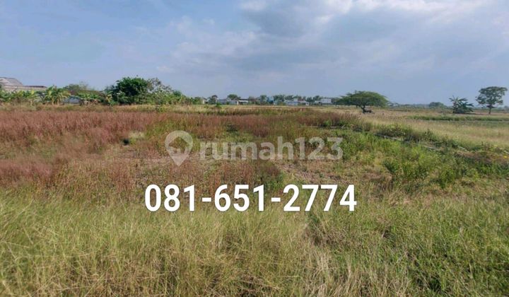 Land in Menganti, Gresik. Land in Menganti, Gresik.