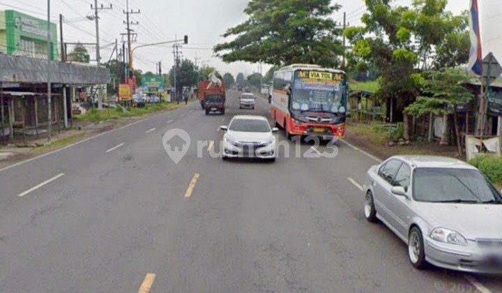 Land in Jombang Perak
