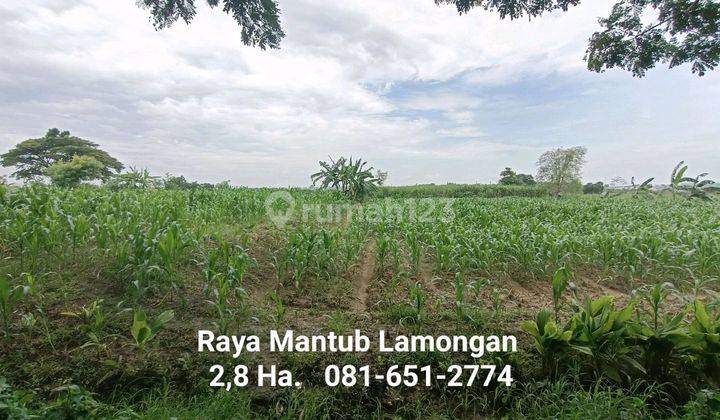 Tanah Raya Mantup Lamongan 2