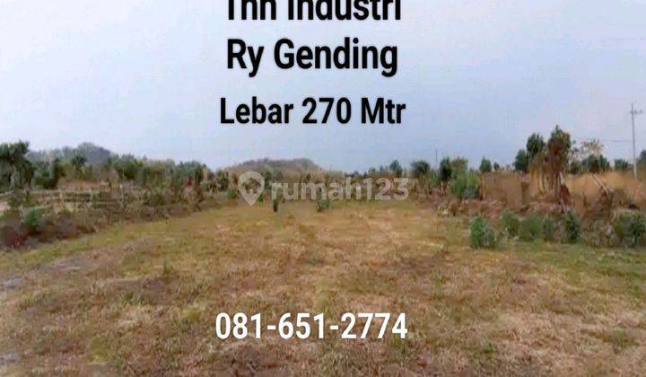 Tanah Di Raya Gending Probolinggo 1