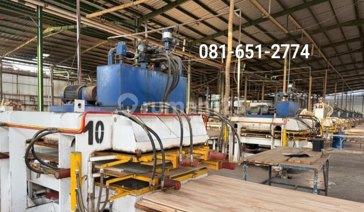 Wood Factory in Probolinggo Wood Factory in Probolinggo