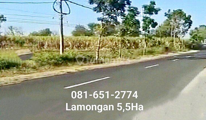 Tanah Industri Tikung Lamongan. 1