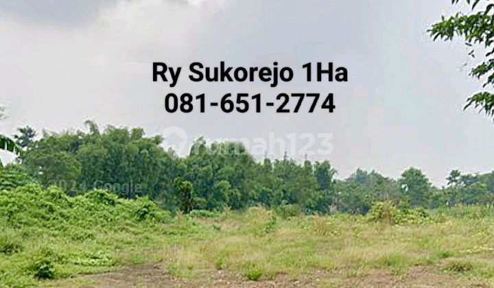 Land in Sukorejo, Pandaan