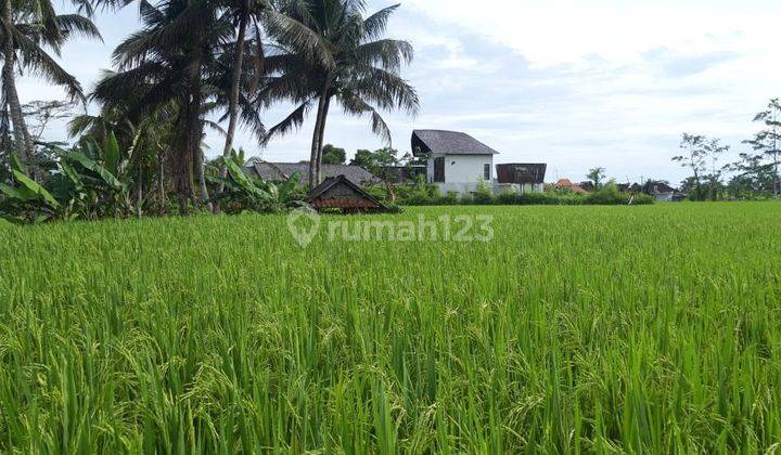 Tanah View Sawah di Dekat Ubud Center SHM 2.802 m² 2