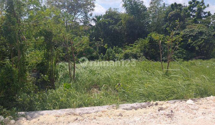 Land at Kedungu Beach 735 m² 1