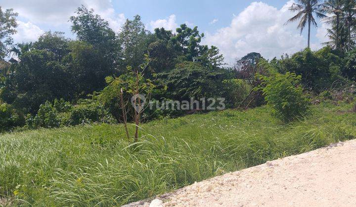 Land at Kedungu Beach 735 m² 2