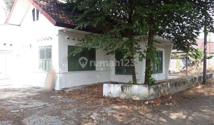 Rumah Model Lama Cocok Untuk Tinggal Atau Kantor Dekat Balaikota Jogja 2