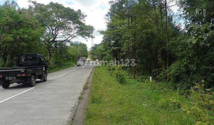 Tanah murah jual cepat Prospek Bagus Muka 30m Mangku Jln Utama Sentolo Brosot 1