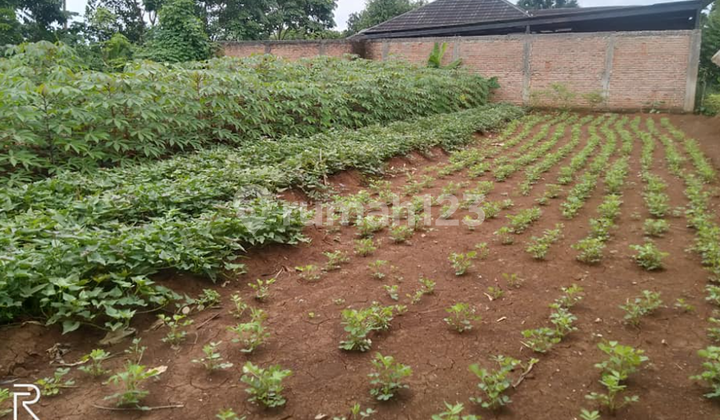 Land for Sale, Safe, Flood-Free in a Serene Neighborhood in Legok, Tangerang.