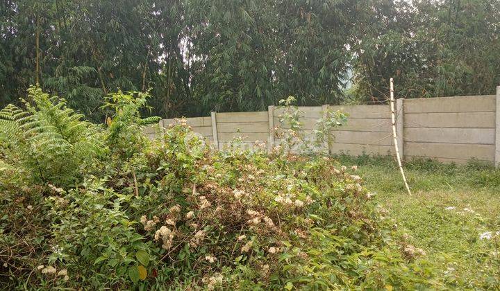 Dijual Tanah Cocok Untuk Villa, Cafe Atau Wisata Alam Di Bogor 18